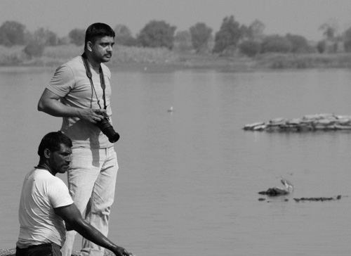 flamingos birds at bhigwan backwaters