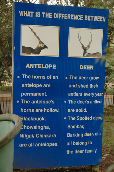 Pune Katraj zoo