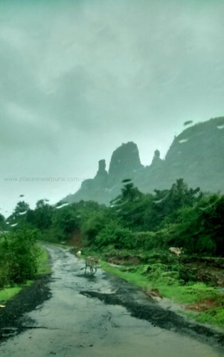 mulshi-tamhini-lonavala-drive6.jpg