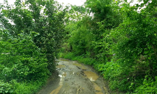 Approach to Ajivali Village