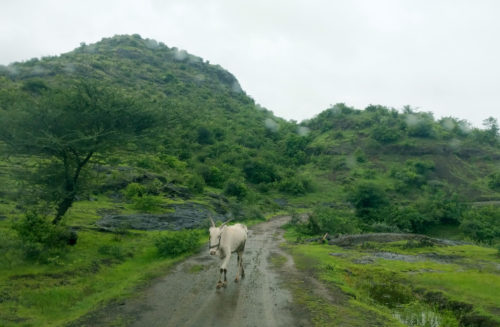 veer dam route