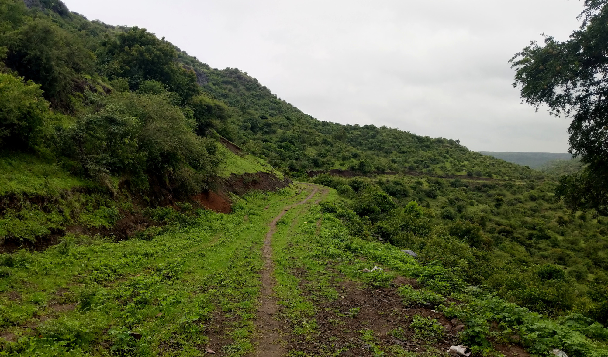 A super scenic road trip to Veer Dam Places near Pune and Mumbai