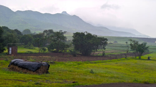 Panvadi Ghat Trek