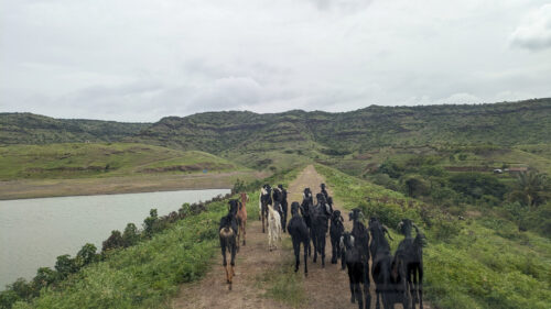 Pingori Village road trip