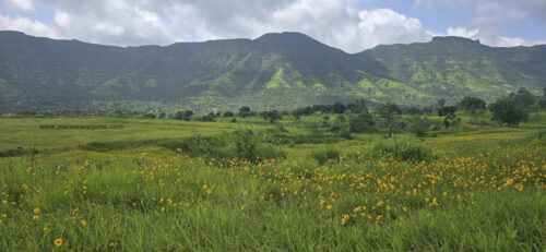Raireshwar Fort Trek Route