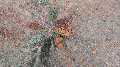 Raireshwar Fort Seven coloured Soil