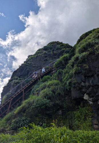 Raireshwar Fort Trek Route Ladder