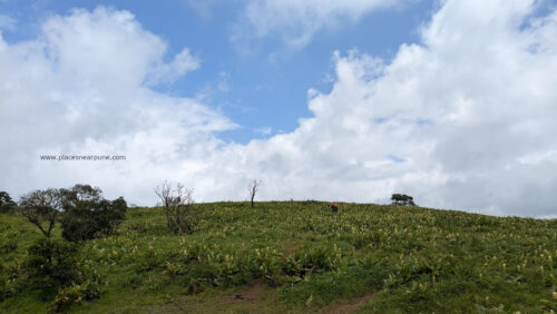 Raireshwar Fort Trek Route