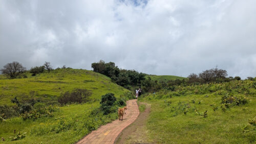 Raireshwar Fort Trek Route