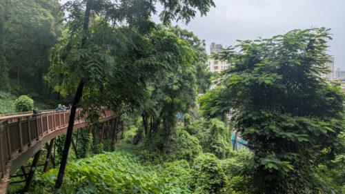 Malabar Hill Elevated walkway