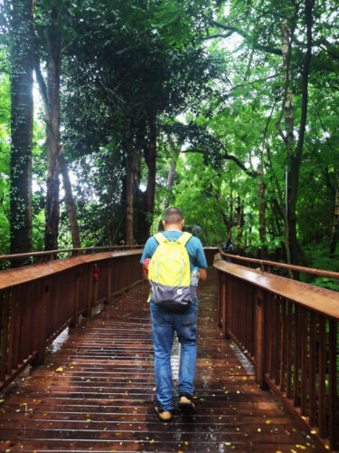 Malabar Hill Elevated Walkway